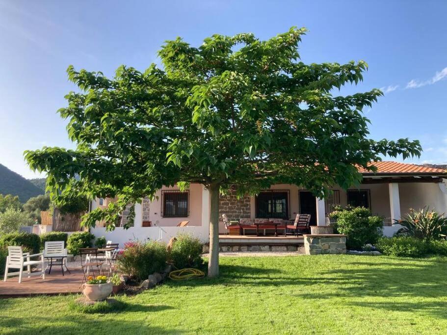 Countryside villa in Sardinia Triei Exteriör bild