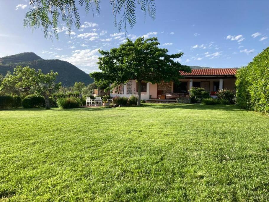Countryside villa in Sardinia Triei Exteriör bild